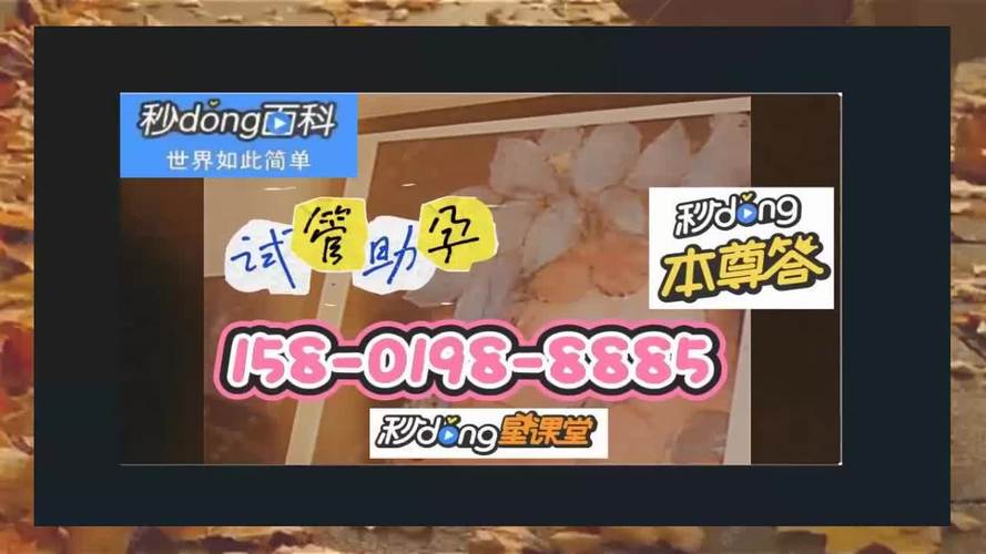 供卵试管代怀违法吗-供卵试管代怀违法吗？法律与道德的边界探讨