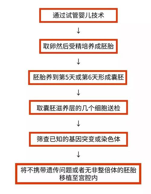 供卵试管代怀双胞胎流程_供卵试管代怀双胞胎流程详解