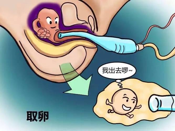 供卵代生孩子全包-供卵代生孩子全包服务专家指导