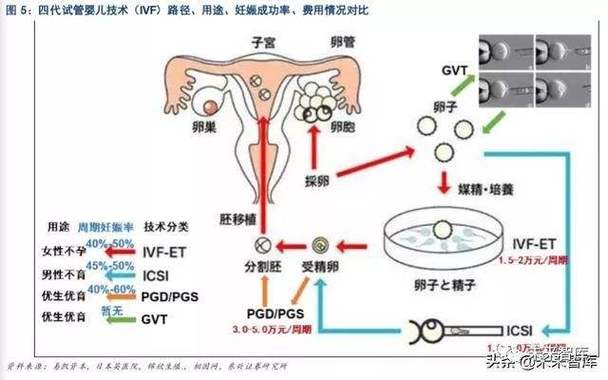 供卵生子的风险(供卵生子风险揭秘：你需要知道的重要事项)